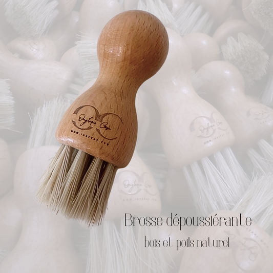 Brosse dépoussiérante naturel