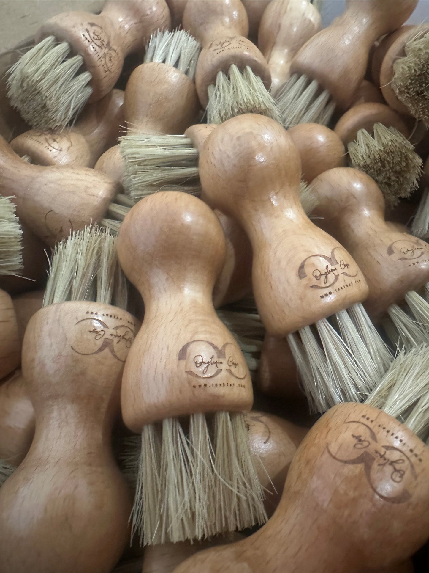 Brosse dépoussiérante naturel